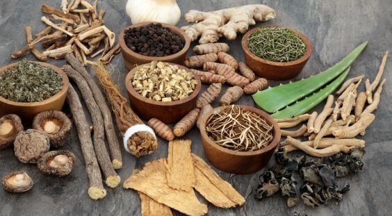 Rooted Herbs